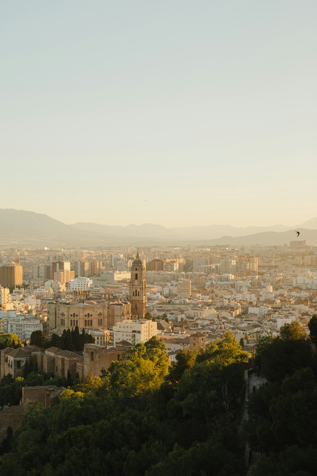 Coworking sostenible en Barcelona imagen 1