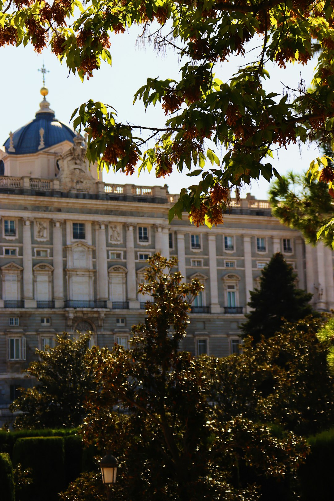 Nutrición consciente en Madrid imagen 3